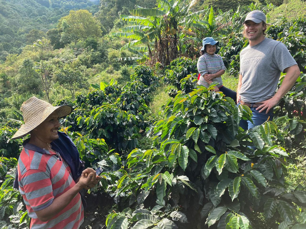 What is so special about Colombian Coffee?